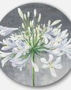 Flower Cleome Splash I - Farmhouse Metal Circle Wall Art