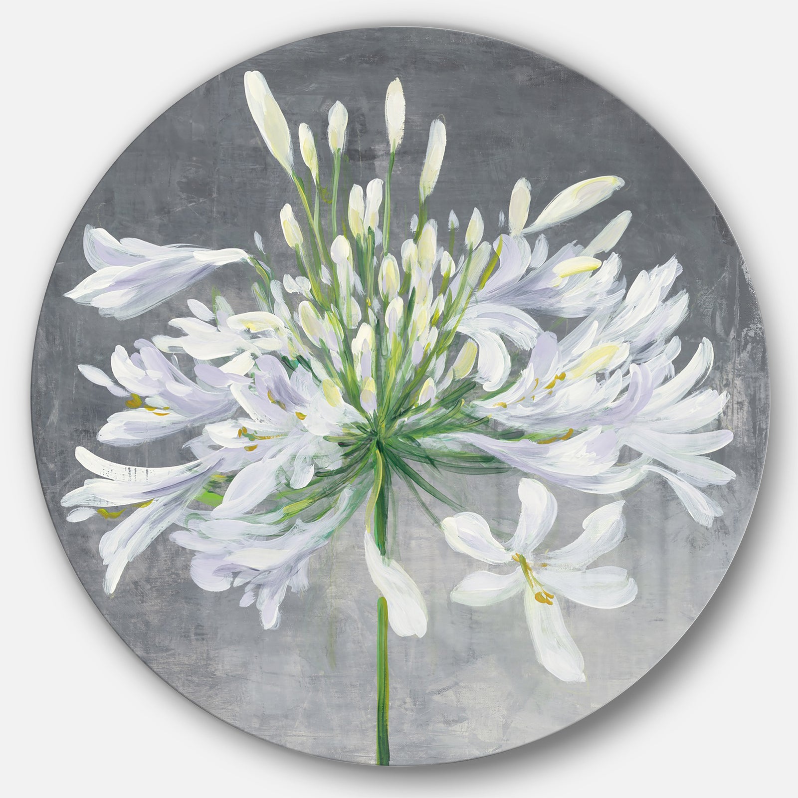 Flower Cleome Splash I - Farmhouse Metal Circle Wall Art