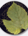 Porch & Den Handpainted Green Leaf On Black - Farmhouse Metal Circle Wall Art