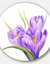 Crocuses in White Background - Floral Glossy Large Disk Metal Wall Art
