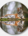 Tiger Reflecting in Water - Animal Photography Round Wall Art