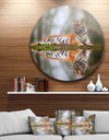 Tiger Reflecting in Water - Animal Photography Round Wall Art