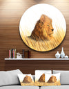 Lion Watching the Surroundings - Animal Art Round Wall Art