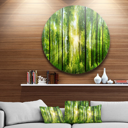 Forest with Rays of Sun Panorama - Landscape Disc Metal Wall Art