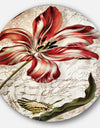 Red Floral Pattern with Butterfly - Floral Digital Art Disc Metal Wall Art