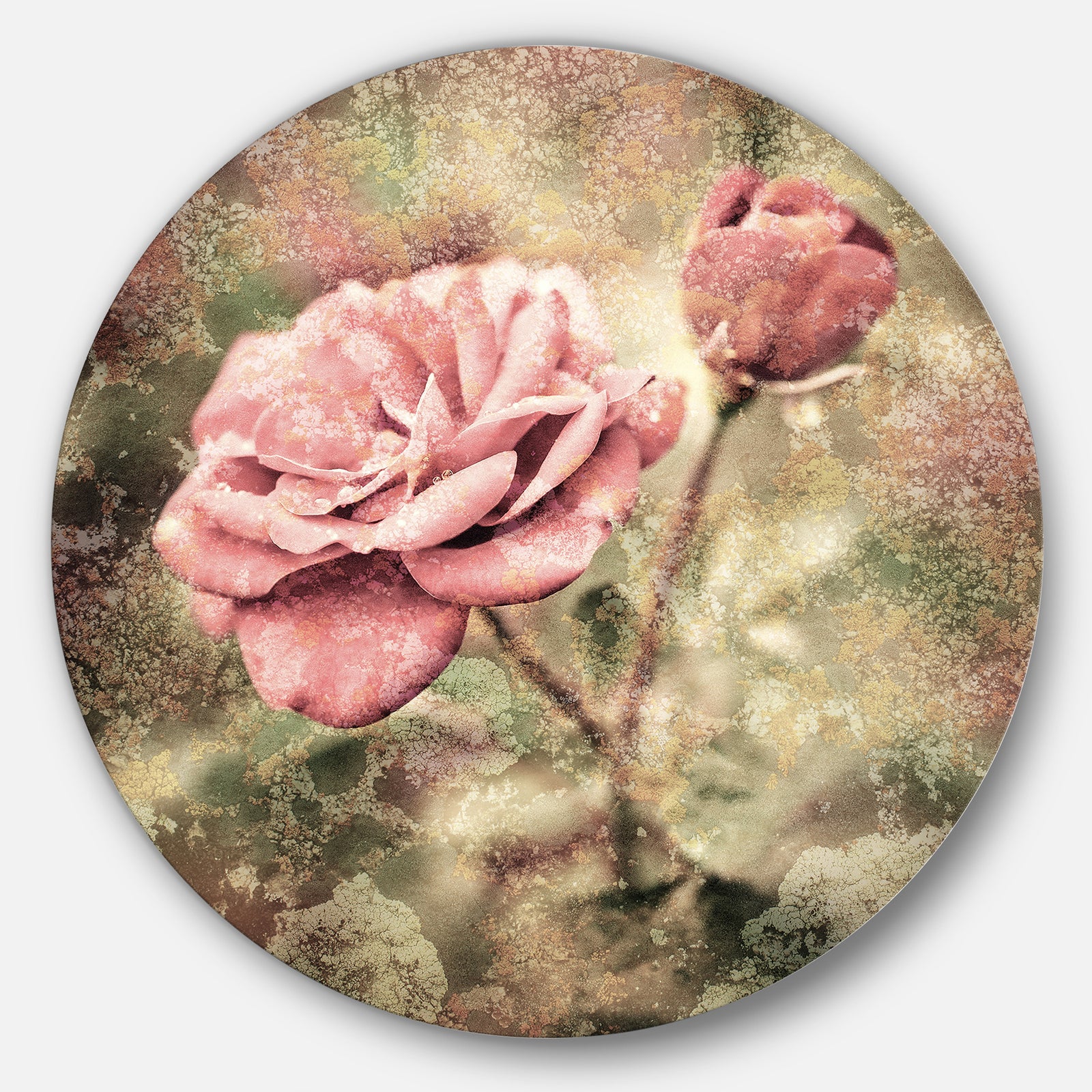 Vintage Pink Roses with Water Drops - Floral Circle Wall Art
