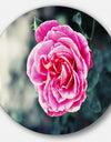 Red Rose in Vintage Style - Floral Digital Art Round Wall Art