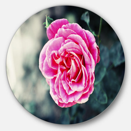Red Rose in Vintage Style - Floral Digital Art Round Wall Art