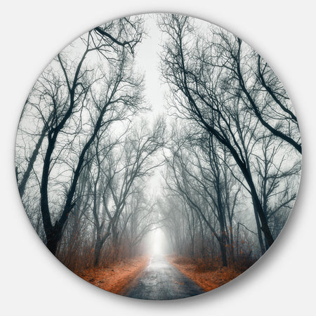 Mystic Road in Forest - Landscape Photo Circle Metal Artwork
