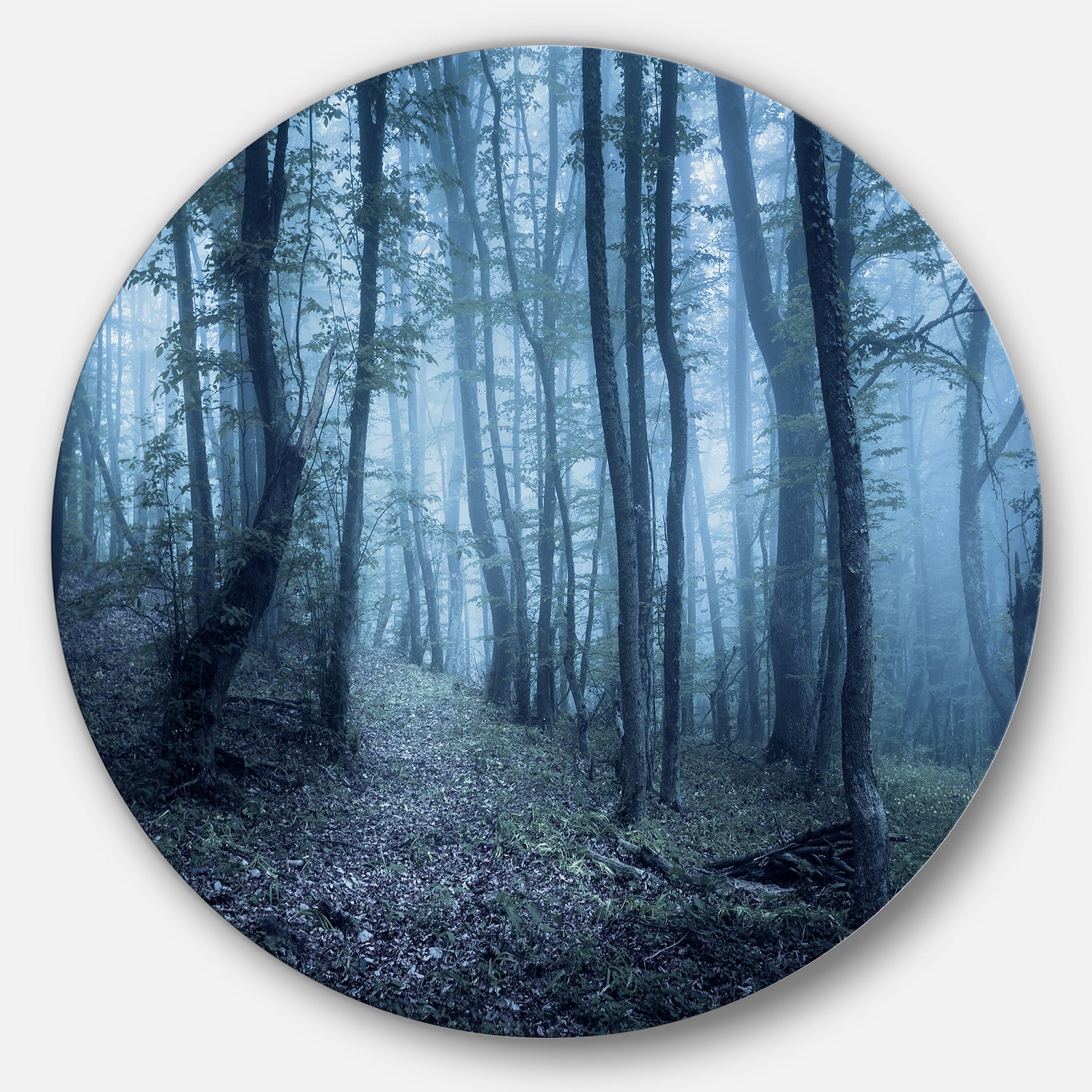 Spring Foggy Forest Trees - Landscape Photo Round Wall Art