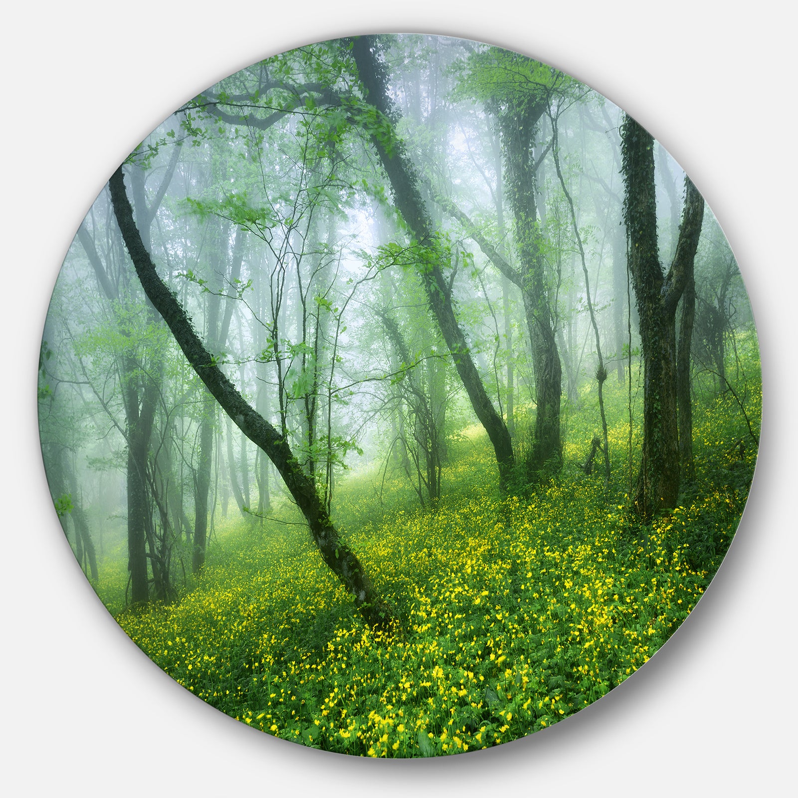 Mysterious Forest Green Leaves - Landscape Photo Disc Metal Wall Art