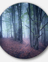 Mysterious Fairytale Wood - Landscape Photo Disc Metal Artwork