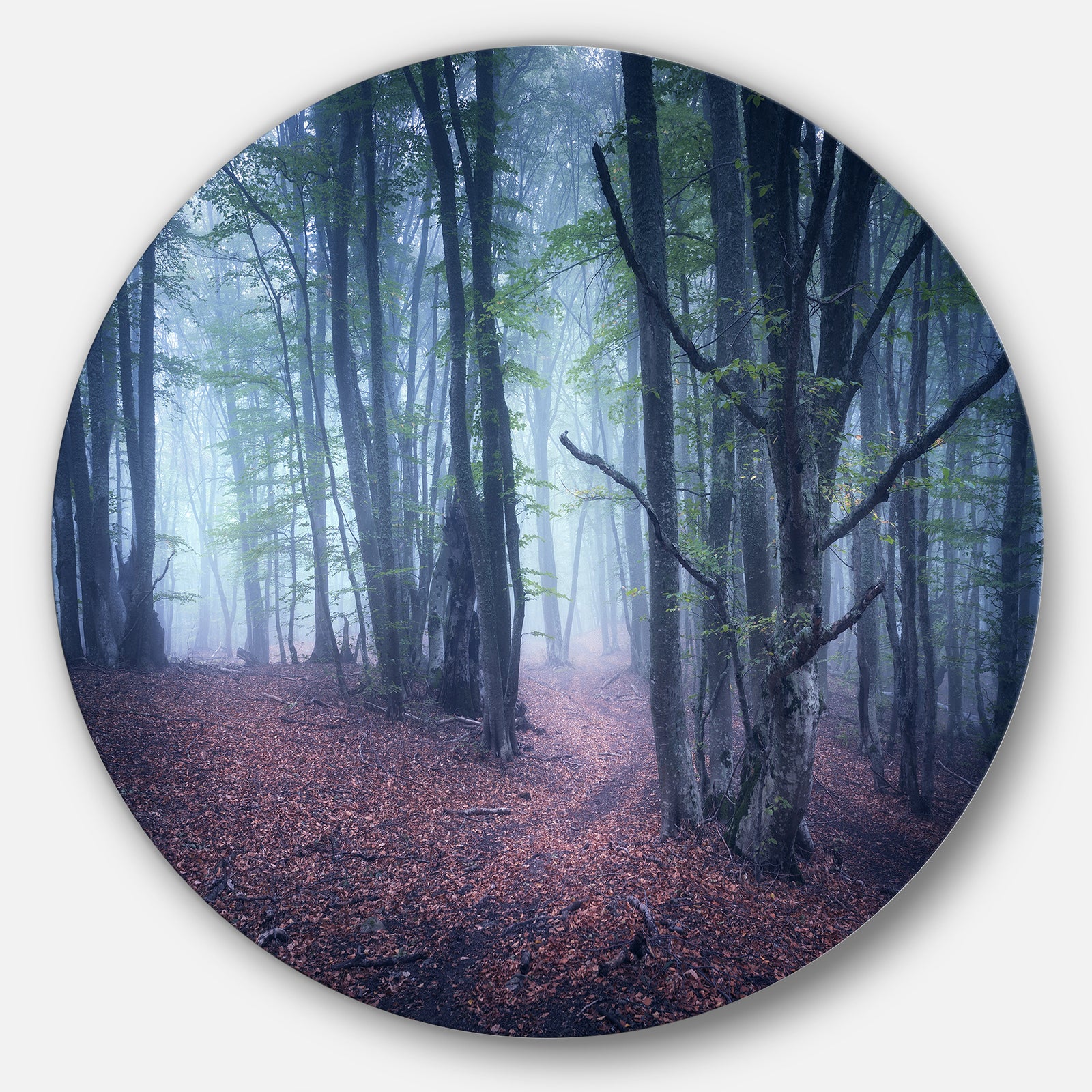 Mysterious Fairytale Wood - Landscape Photo Disc Metal Artwork