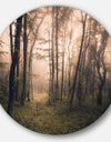 Dark Old Spring Forest - Landscape Photo Circle Wall Art