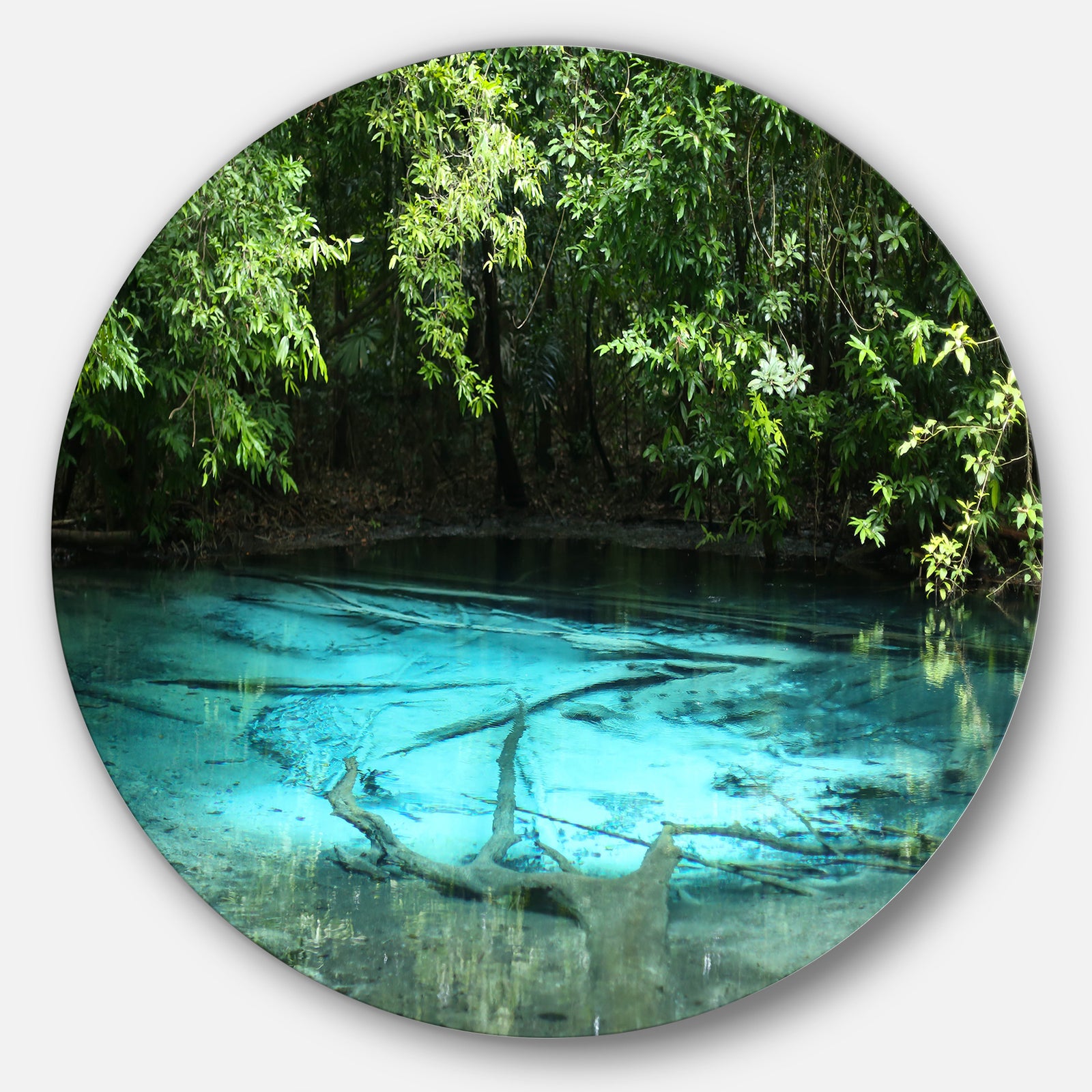 Emerald Pond in Deep Forest - Landscape Photo Round Wall Art