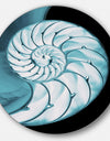 Chambered Nautilus Shell - Abstract Art Large Disc Metal Wall art