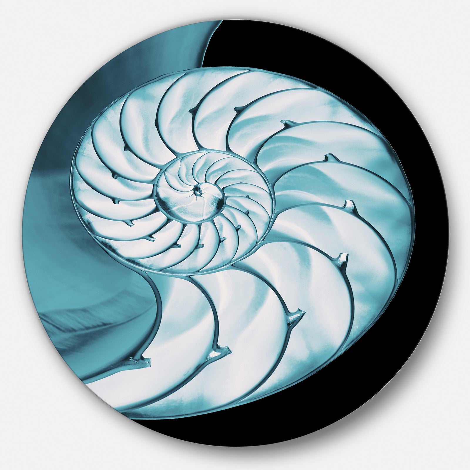 Chambered Nautilus Shell - Abstract Art Large Disc Metal Wall art