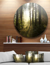 Early Morning Sun in Misty Forest - Landscape Photo Round Metal Wall Art