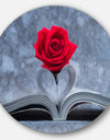 Red Rose Inside the Book - Floral Art Large Disc Metal Wall art