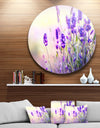 Purple Lavender Field - Floral Photography Disc Metal Wall Art
