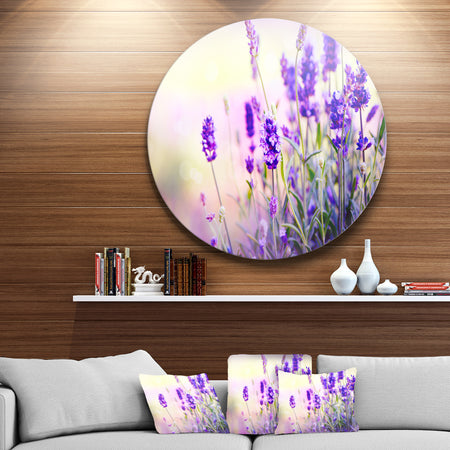 Purple Lavender Field - Floral Photography Disc Metal Wall Art