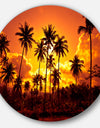 Coconut Palms Against Yellow Sky - Landscape Photo Disc Metal Wall Art