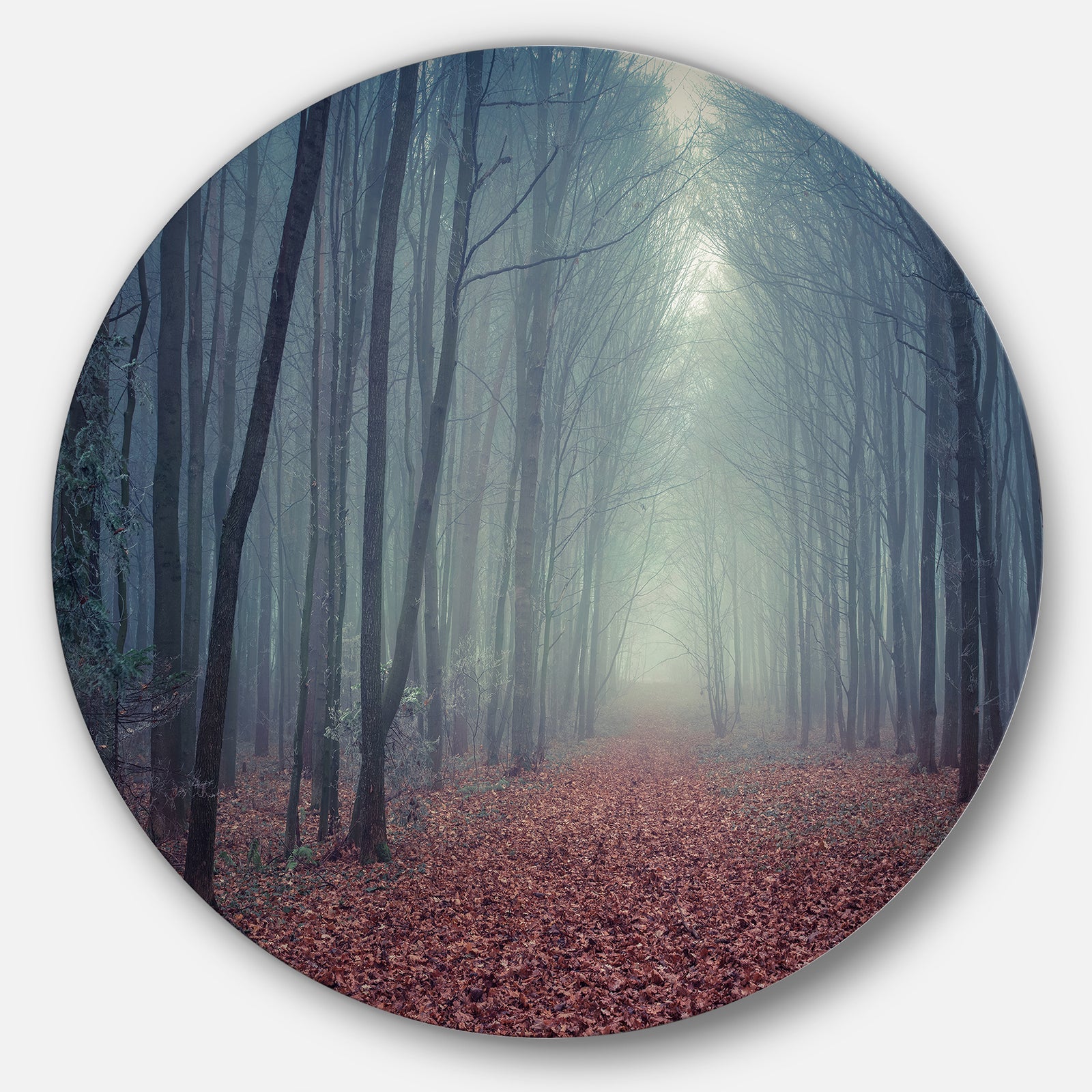 Retro Style Misty Path in Forest - Landscape Photo Disc Metal Wall Art