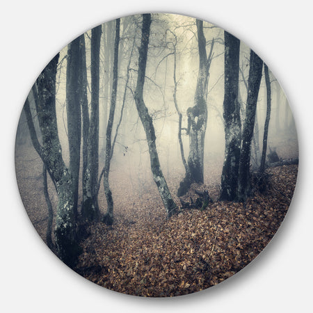 Mystical Yellow Fog in Fall Forest - Landscape Photo Large Disc Metal Wall art
