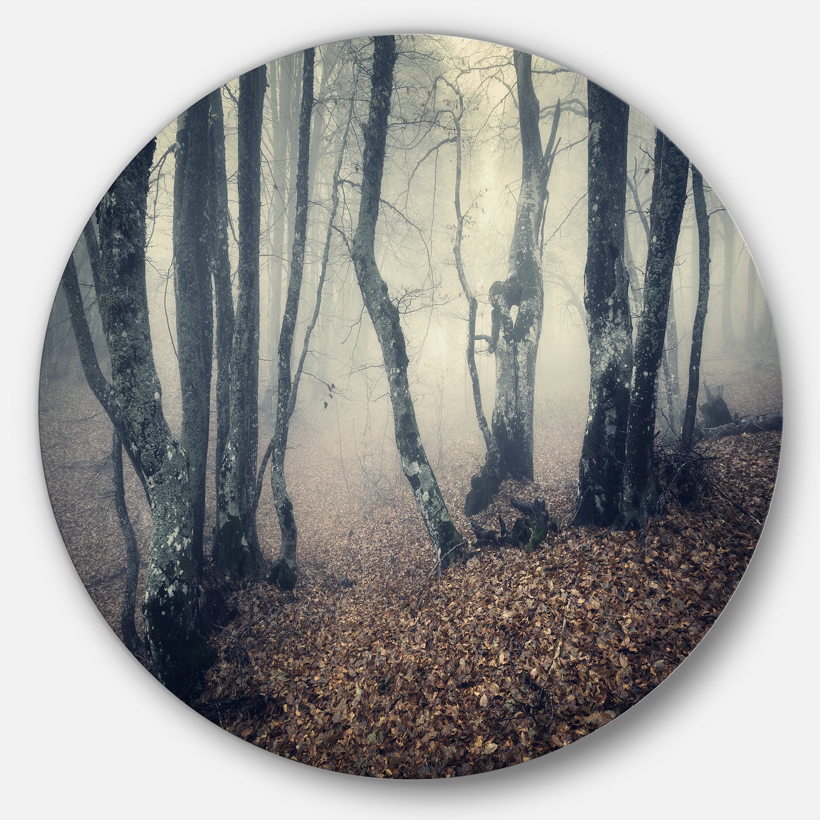 Mystical Yellow Fog in Fall Forest - Landscape Photo Large Disc Metal Wall art