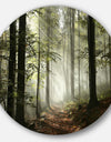 Light in Dense Fall Forest with Fog - Landscape Large Circle Metal Wall art