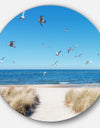 Beach with Seagulls in Rugen Island - Seashore Disc Metal Artwork