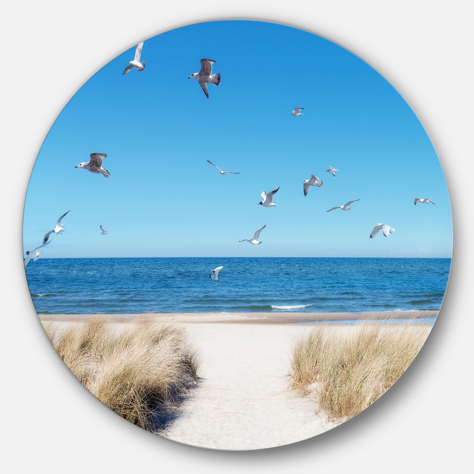 Beach with Seagulls in Rugen Island - Seashore Disc Metal Artwork