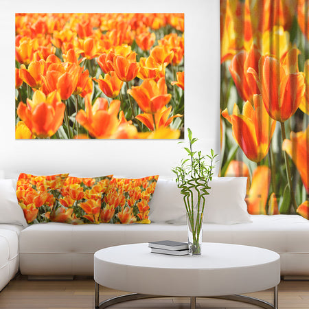 Fresh Tulip Flowers on Sunny Day - Floral Canvas Art Print