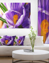 Blooming Crocus Flower - Large Floral Wall Art Canvas