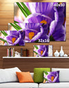 Blooming Crocus Flower - Large Floral Wall Art Canvas