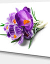 Bunch of Blooming Crocus Flowers - Large Floral Wall Art Canvas