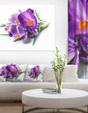 Bunch of Blooming Crocus Flowers - Large Floral Wall Art Canvas