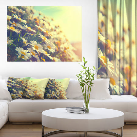 Nature with Blooming Chamomiles - Large Floral Wall Art Canvas