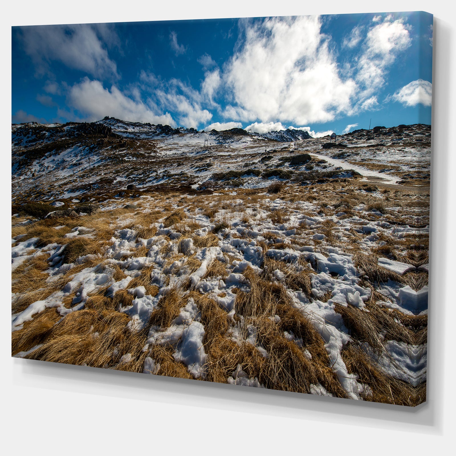 Top of Kosciuszko National Park - Large Seashore Canvas Print