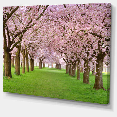 Stunning Cherry Blossoms Plenitude - Landscape Art Print Canvas