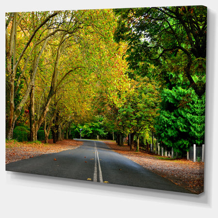 Road through Stunning Greenery - Landscape Art Print Canvas
