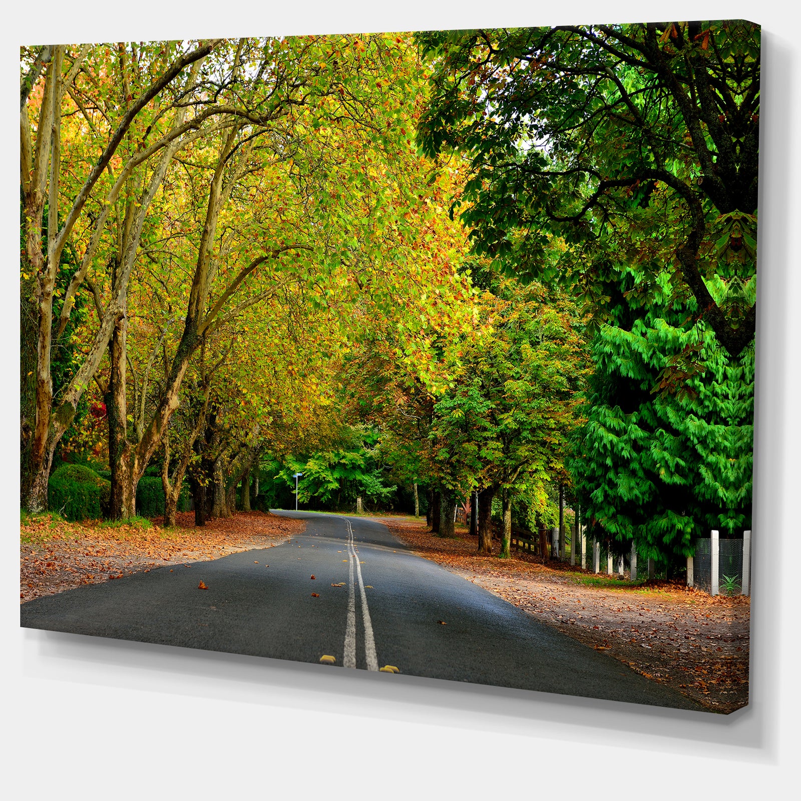 Road through Stunning Greenery - Landscape Art Print Canvas
