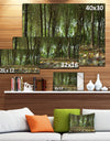 Dense Rubber Tree Plantation - Landscape Art Print Canvas