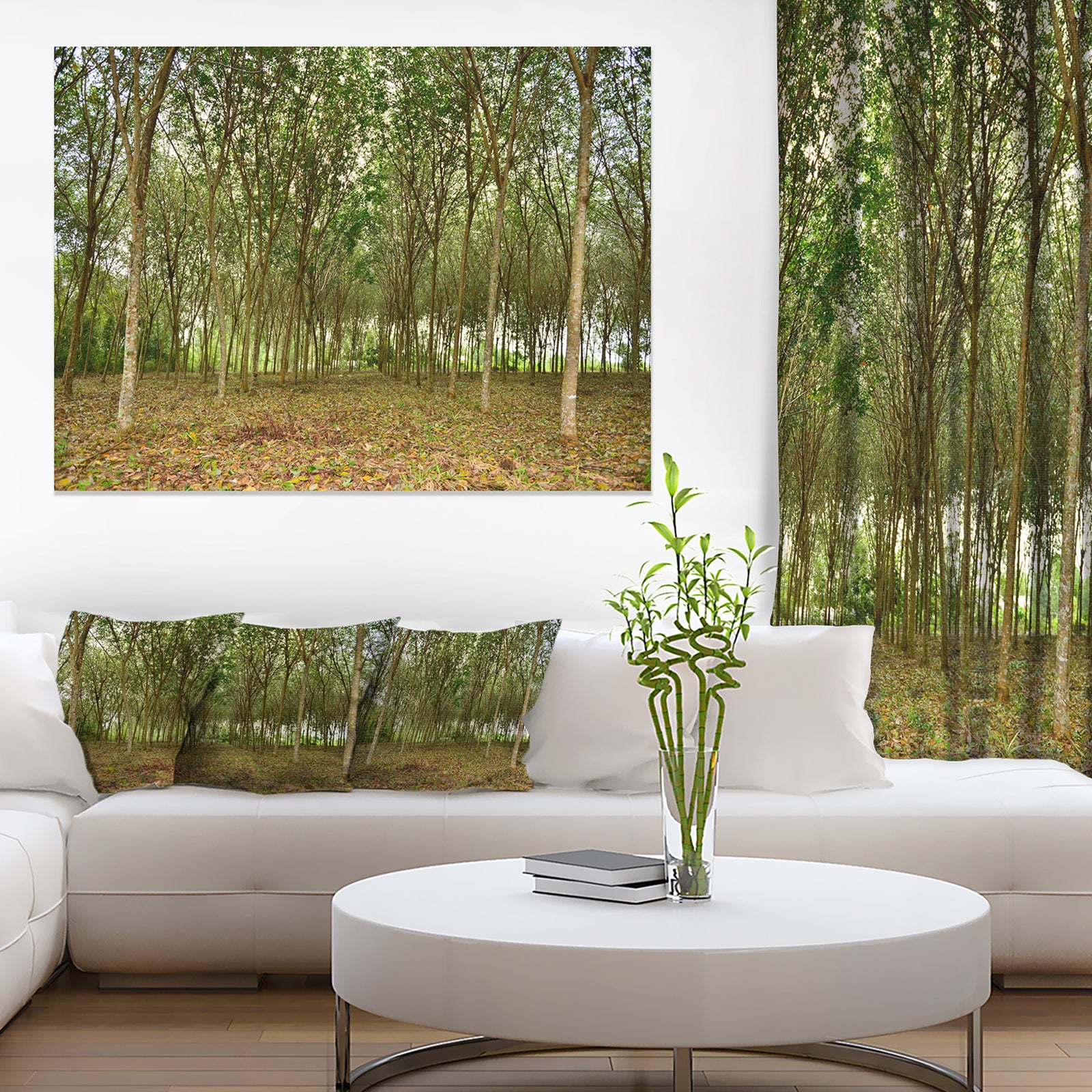 Rubber Tree Plantation during Midday - Landscape Art Print Canvas