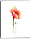 Red Poppy Flower with Large Petals - Large Flower Canvas Wall Art