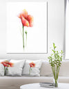 Red Poppy Flower with Large Petals - Large Flower Canvas Wall Art