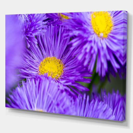 Bunch of Large Violet Flowers - Large Flower Canvas Wall Art