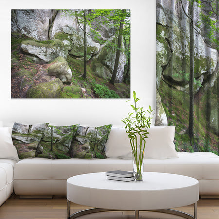 Deep Moss Forest with Rocks - Landscape Art Print Canvas