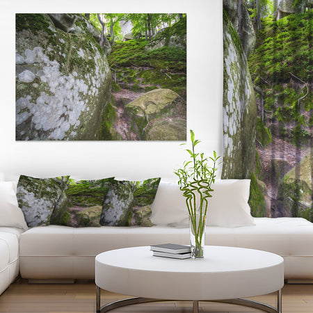 Large Rocks in Deep Moss Forest - Landscape Art Print Canvas