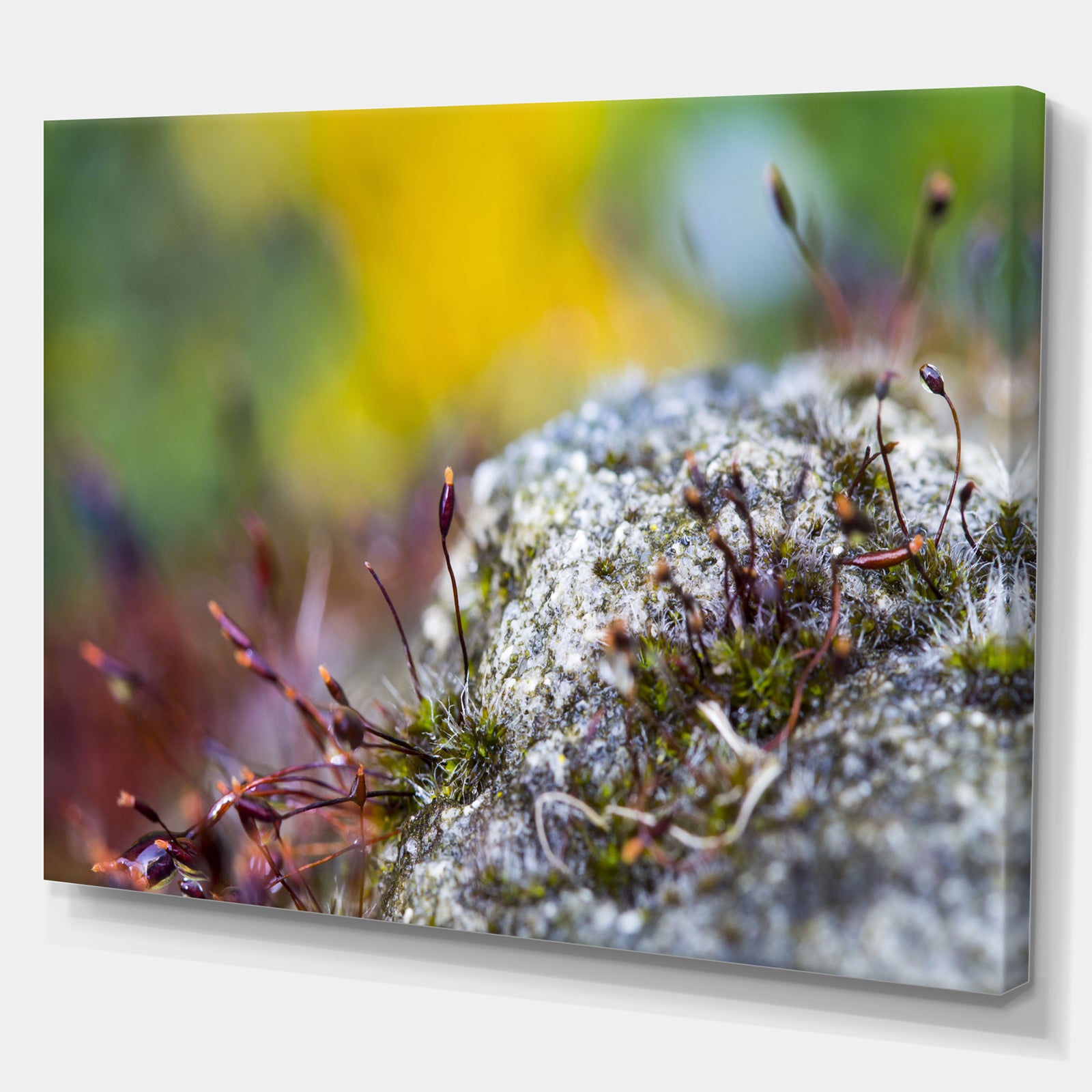 Abstract Composition of Moss Flowers - Modern Landscape Wall Art Canvas